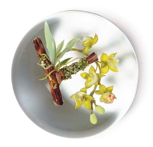 A PAUL STANKARD ORCHID ON BRANCH WEIGHT
