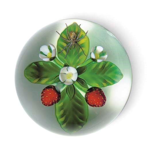 A DELMO TARSITANO MAGNUM STRAWBERRY PLANT AND SPIDER WEIGHT