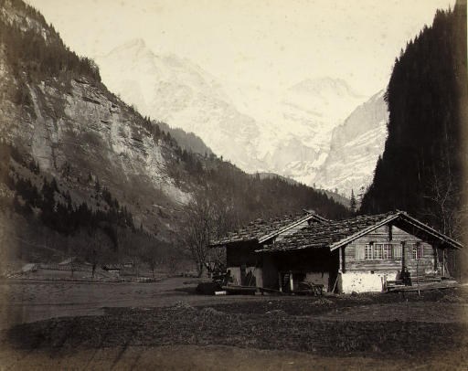 Adolphe Braun (1812-1877), Photographer