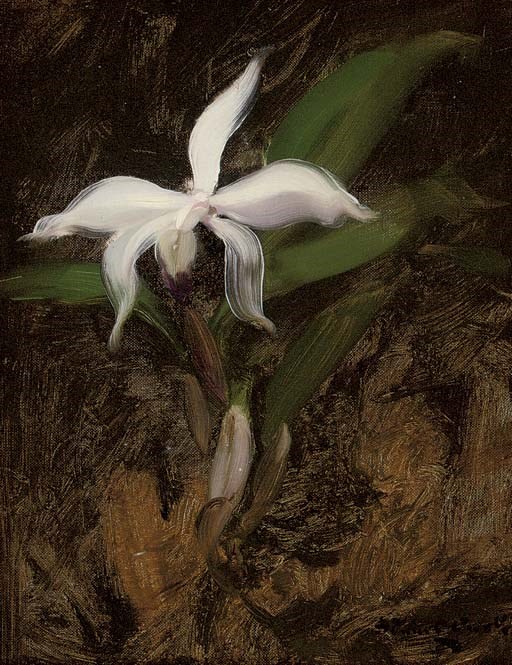 James Stuart Park (1862-1933)