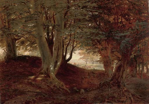Andrew MacCallum (1821-1904)