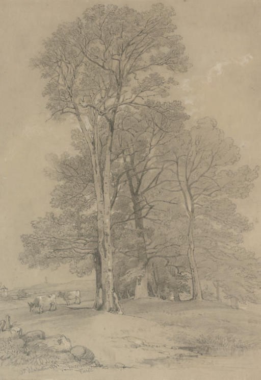 William-Alfred Delamotte (1775-1863)