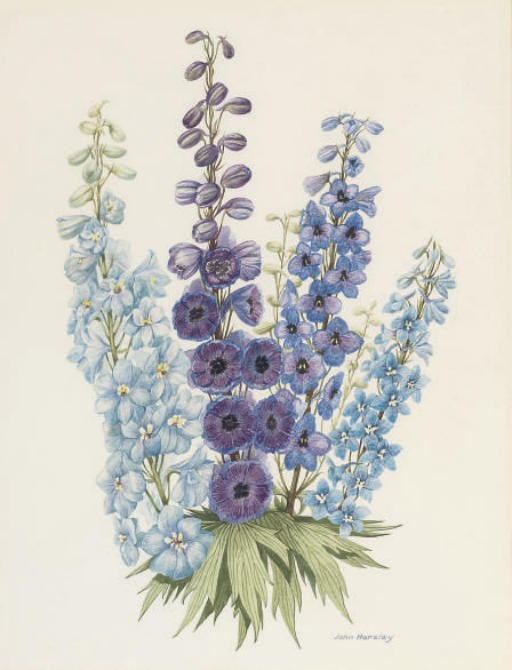 John Horsley, 20th Century