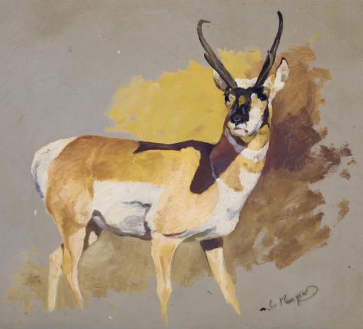 Carl Rungius (1869-1959)
