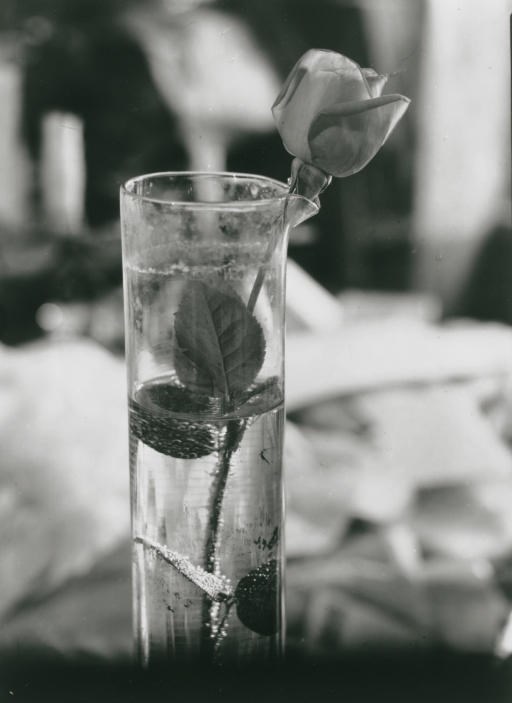 Josef Sudek (1896-1976)
