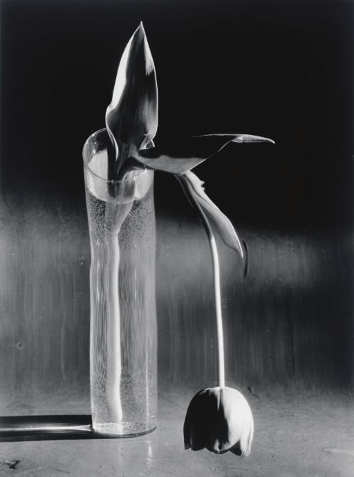 André Kertész (1894-1985)