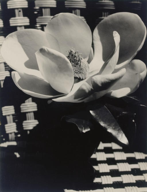 Man Ray (1890-1976)