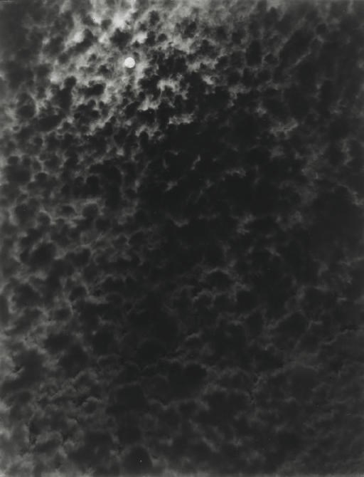 Alfred Stieglitz (1864-1946)