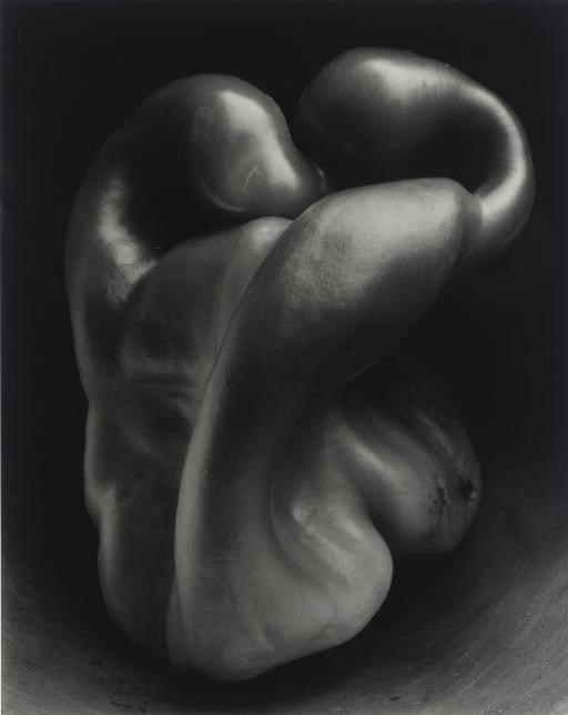 EDWARD WESTON (1886-1958)