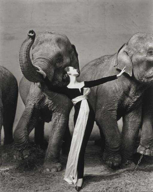 Richard Avedon (1923-2004)