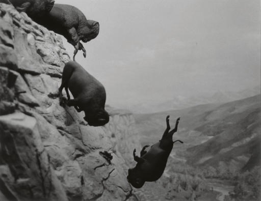 David Wojnarowicz (1954-1992)