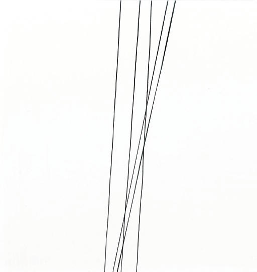 Harry Callahan (1912-1999)