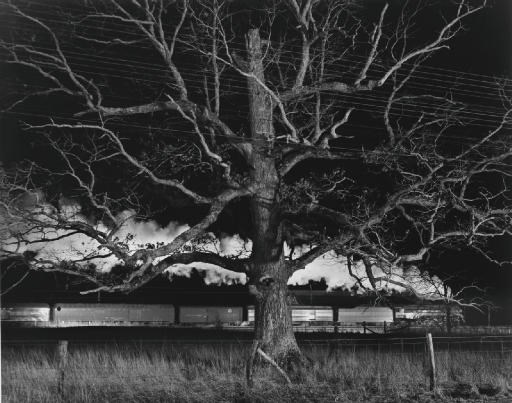O. Winston Link (1914-2001)
