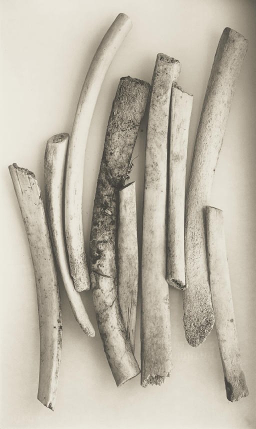 Irving Penn (b. 1917)