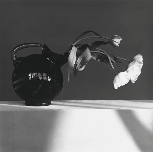 Robert Mapplethorpe (1946-1989)