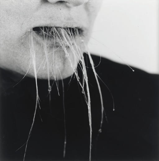 Ann Hamilton (b. 1956)