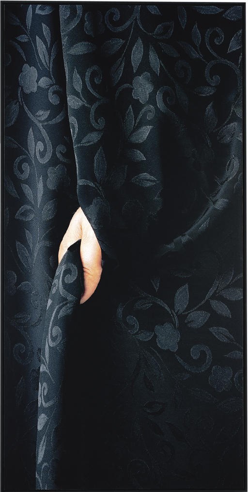 PARASTOU FOROUHAR (IRANIAN, B. 1962)
