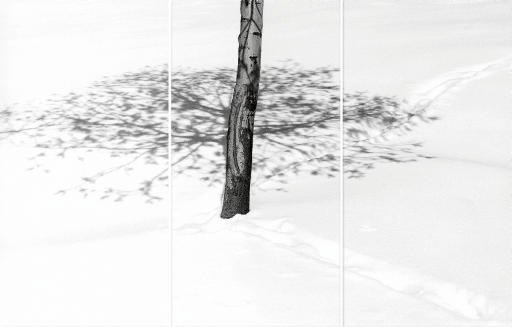 ABBAS KIAROSTAMI (IRANIAN, B. 1940)