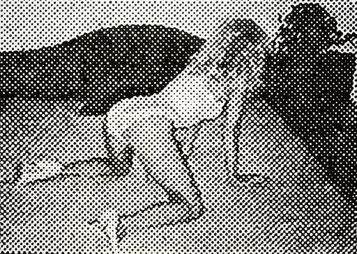 Sigmar Polke (b. 1941)