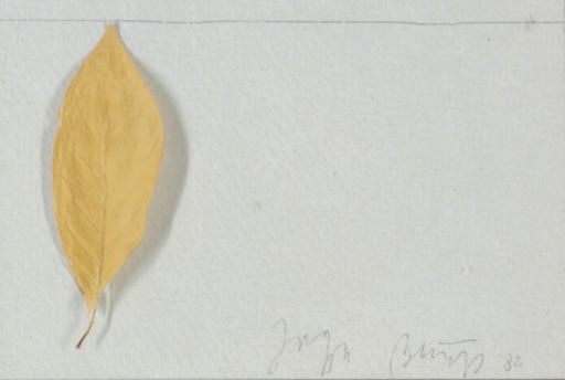 Joseph Beuys (1921-1986)
