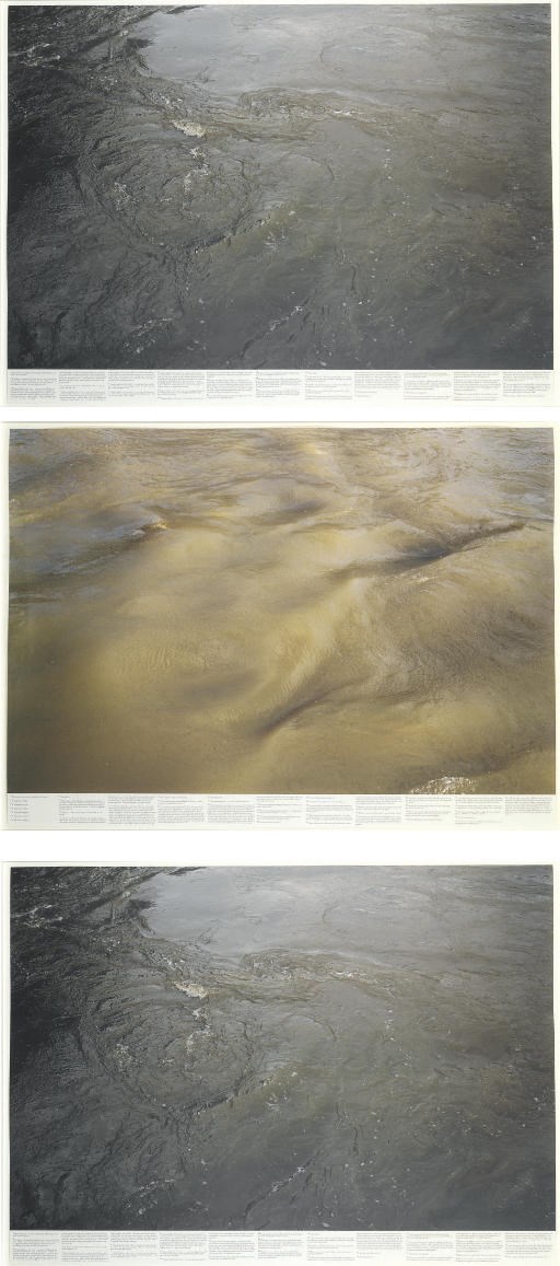 Roni Horn (b. 1955)