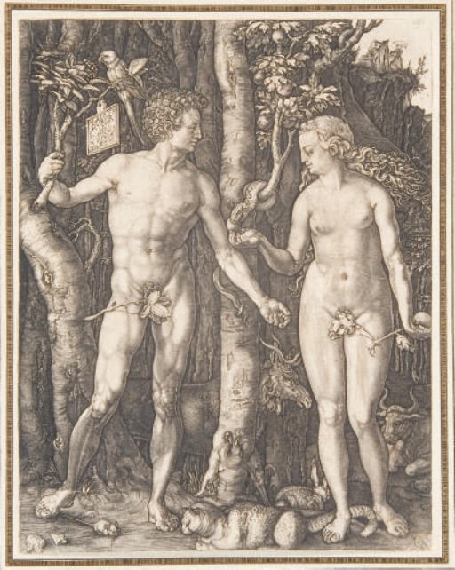 D'APRES ALBRECHT DURER (1471-1528)