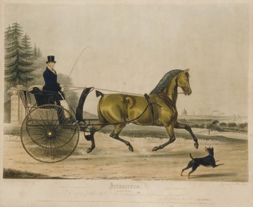 D'APRES FRANCIS CALCRAFT TURNER (1782-1846)