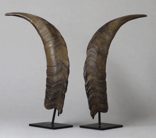 TROPHEE DE CHASSE