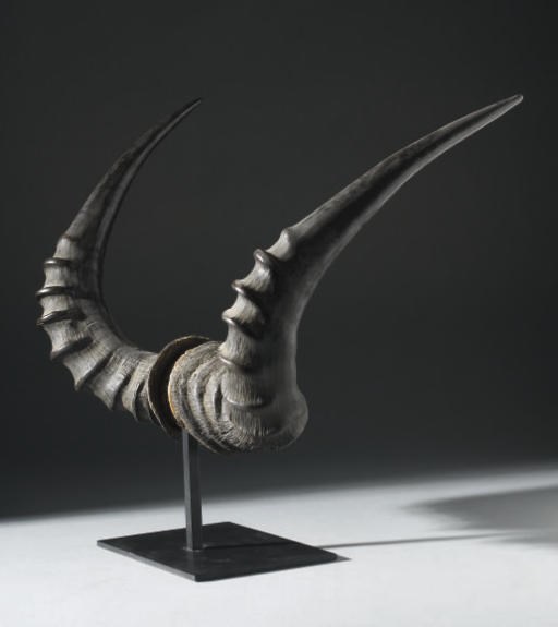 TROPHEE DE CHASSE