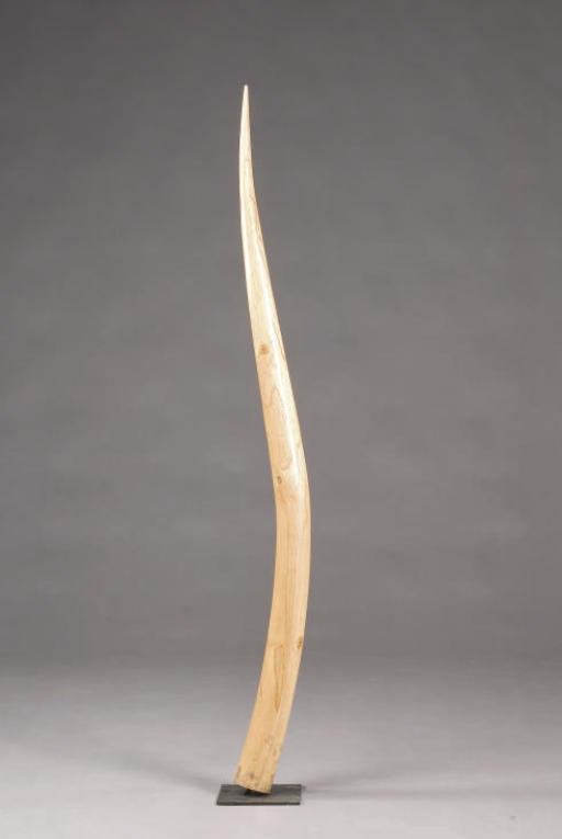 SCULTURE