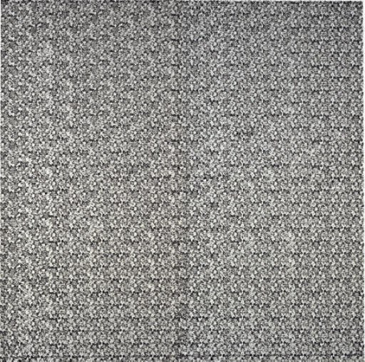 Christopher Wool (b. 1955)