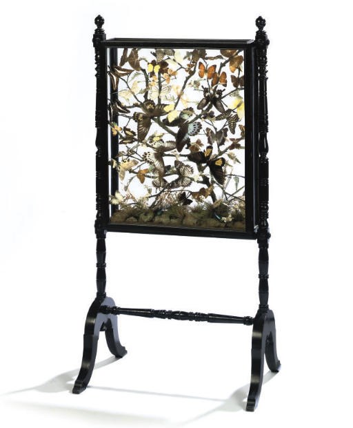 THE 5TH EARL OF HAREWOOD'S BUTTERFLY COLLECTION
A LATE VICTORIAN EBONISED CHEVAL DISPLAY FIRE-SCREEN