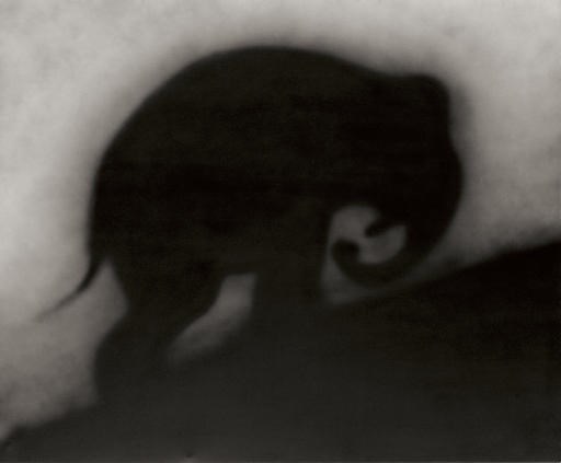 Ed Ruscha (b. 1937)