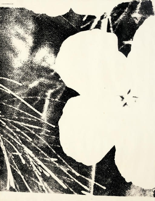 Andy Warhol (1928-1987)