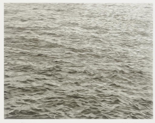 VIJA CELMINS