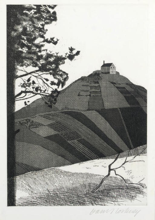 DAVID HOCKNEY