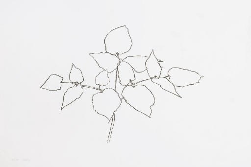 ELLSWORTH KELLY