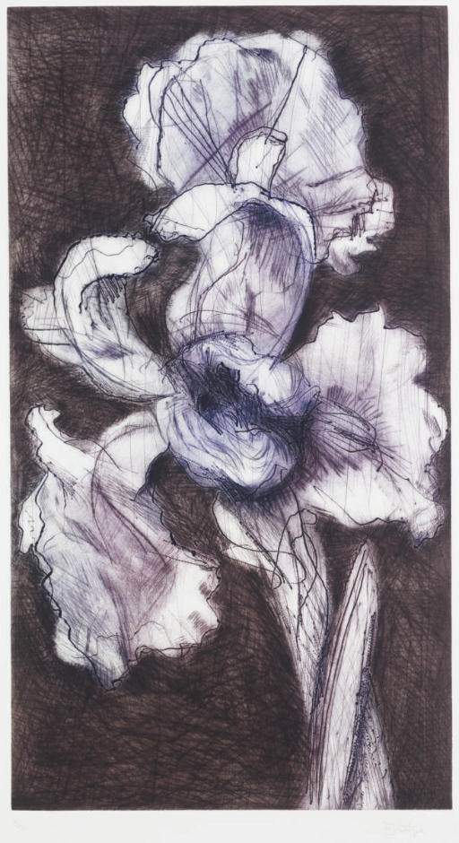 WILLIAM KENTRIDGE