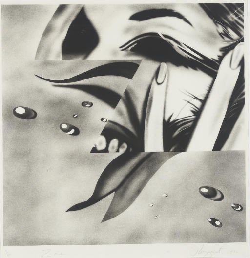 JAMES ROSENQUIST