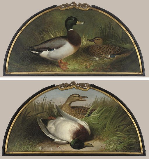 Abel Hold (British, 1815-1893)