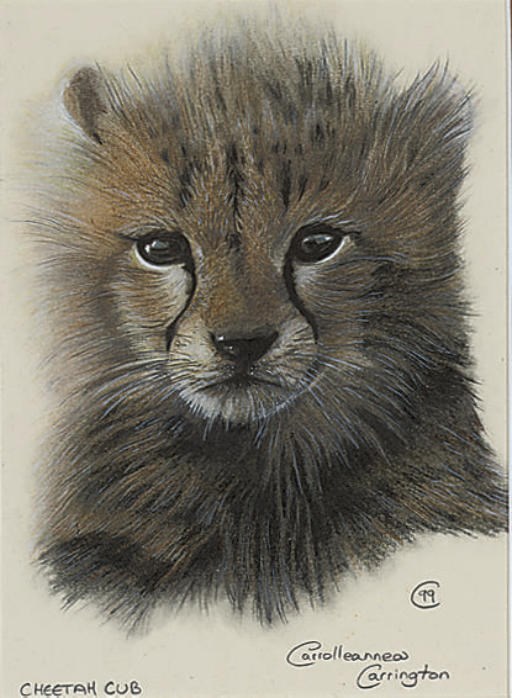 Carrolleannea Carrington (British, 20th/21st Century)