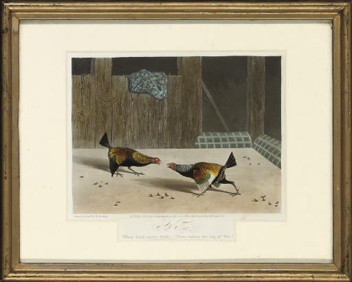 N. Fielding