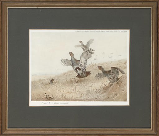 After Archibald Thorburn