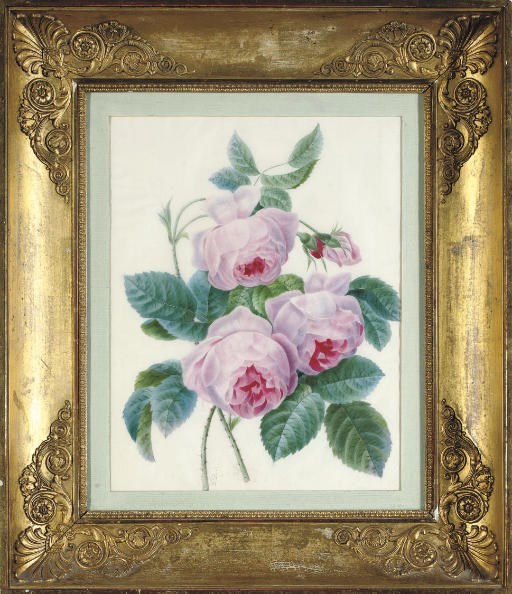Follower of Pierre Joseph Redouté