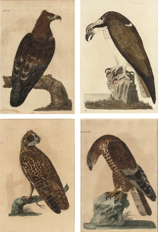 Peter Mazell after Peter Paillou (1757-1831) and others