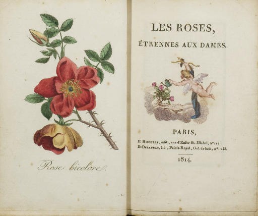 [ALMANACH]. Les Roses, Étrennes aux dames. Paris: E. Hocquart, Delaunay, 1814.