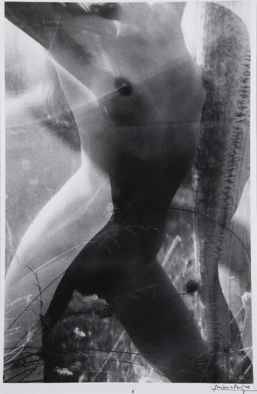 CLERGUE, Lucien (né en 1934). Caco au Grand Herbier. Suite de 10 photographies. Paris: Galerie le Balcon des Arts, 1978.