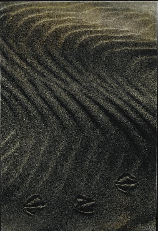 CLERGUE, Lucien (né en 1934). Camargue secrète. Préface de Mario Prassinos. Paris: Pierre Belfond, 1976.