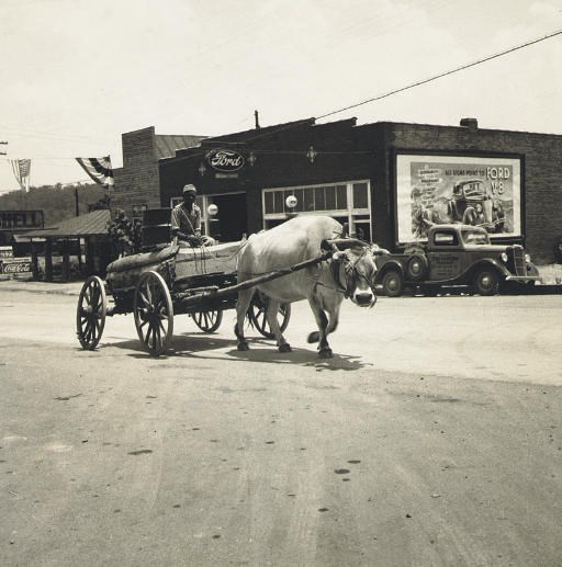 DOROTHEA LANGE (1895-1965)