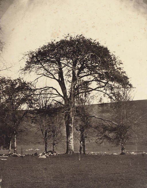 WILLIAM, 2ND EARL OF CRAVEN (1809-1866)